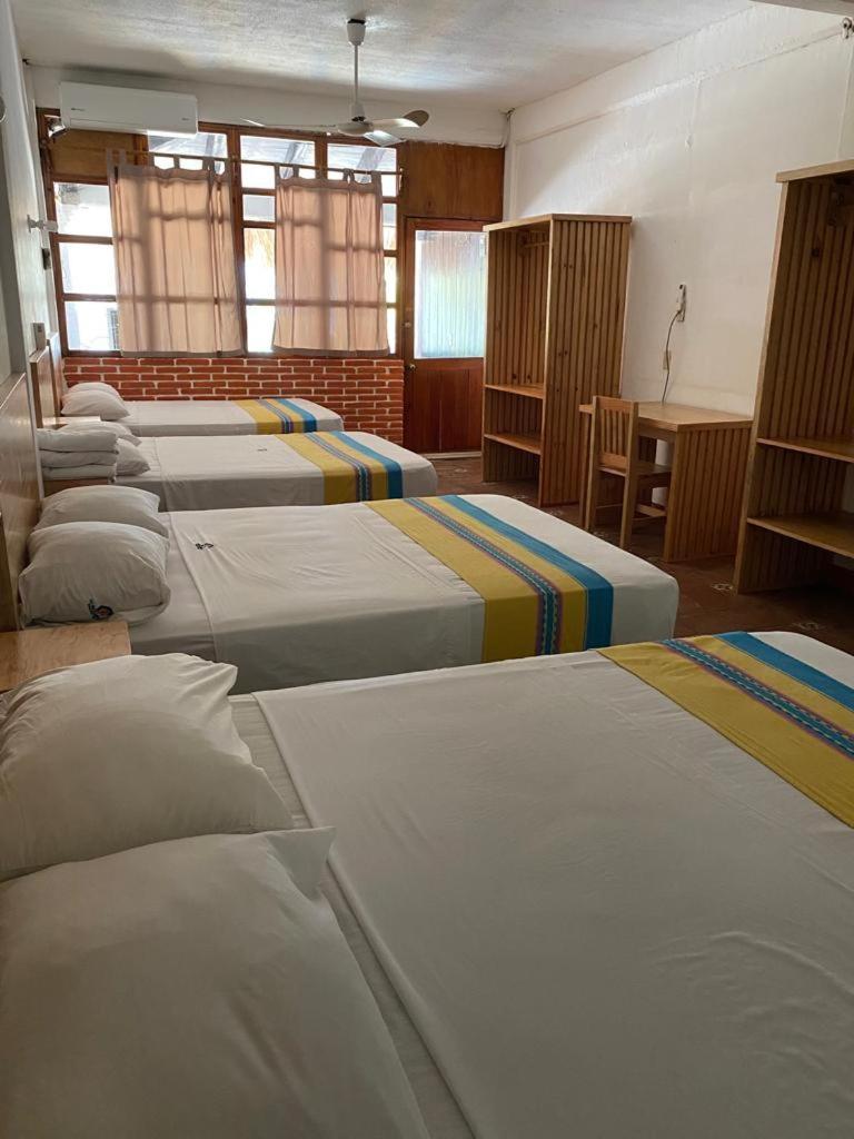 水瓶座简易别墅与小屋酒店 埃斯孔迪多港 外观 照片